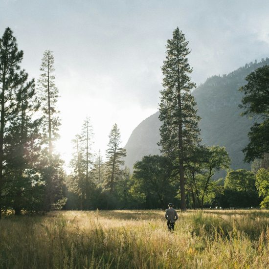 ayas-touch-back-to-wilderness-retreat-10