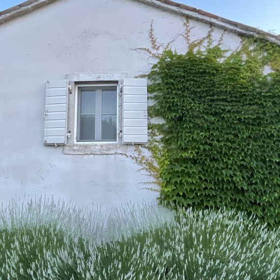 ayas-touch-back-to-wilderness-retreat-15