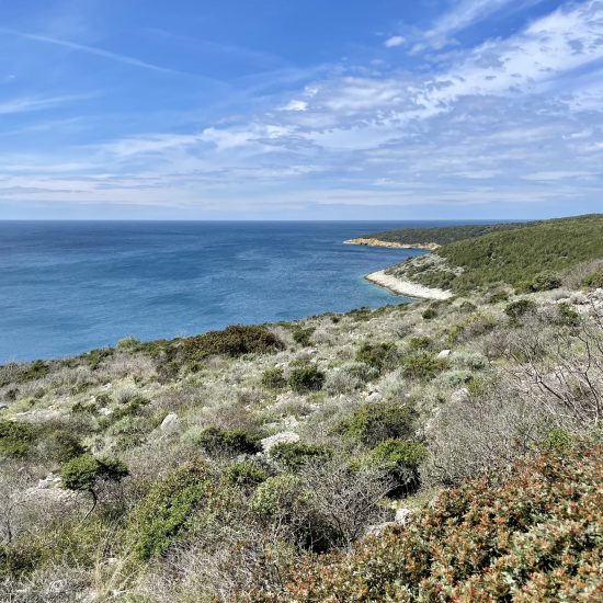 ayas-touch-back-to-wilderness-retreat-17