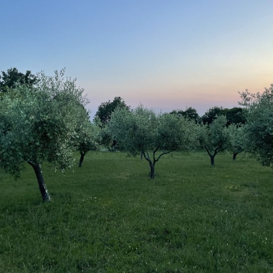 ayas-touch-back-to-wilderness-retreat-23