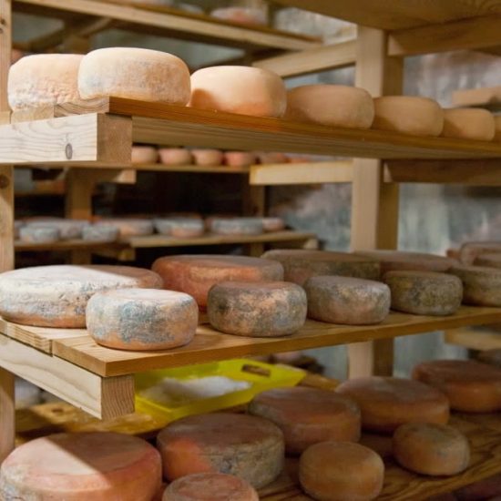 ayas-touch-back-to-wilderness-retreat-24