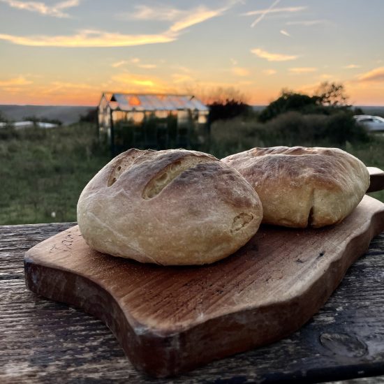 ayas-touch-back-to-wilderness-retreat-25