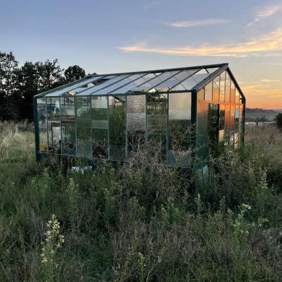 ayas-touch-back-to-wilderness-retreat-9